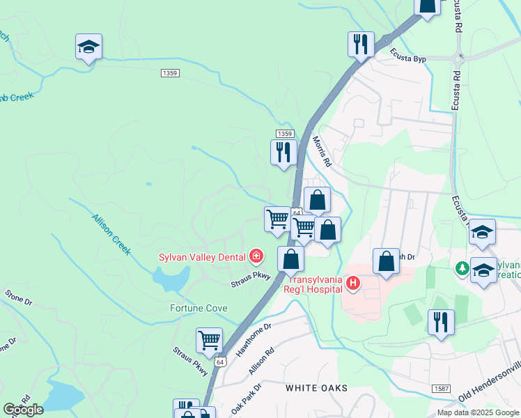 map of restaurants, bars, coffee shops, grocery stores, and more near 305 Camptown Road in Brevard