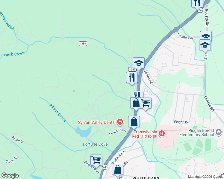 map of restaurants, bars, coffee shops, grocery stores, and more near 455 Camptown Road in Brevard