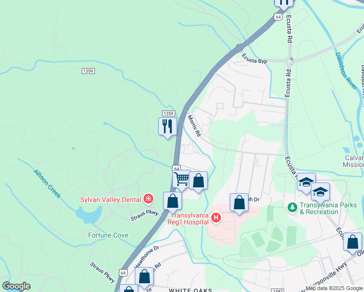 map of restaurants, bars, coffee shops, grocery stores, and more near 1479 Asheville Hwy in Brevard