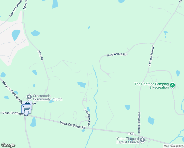 map of restaurants, bars, coffee shops, grocery stores, and more near 394 Lees Branch Drive in Carthage