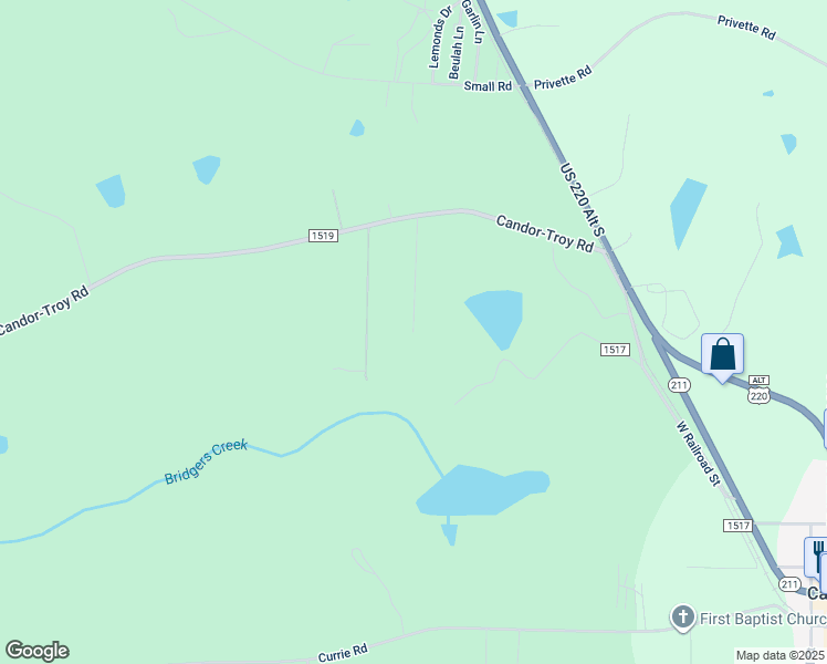 map of restaurants, bars, coffee shops, grocery stores, and more near 277 Burkhead Ln in Biscoe