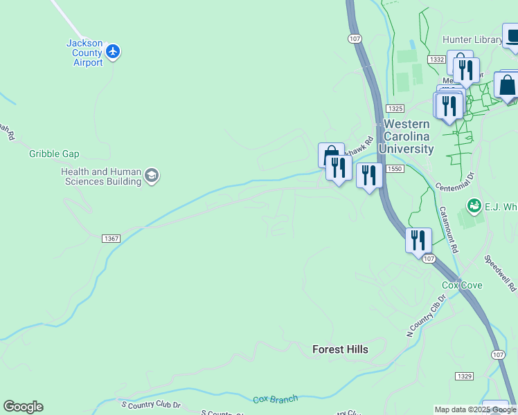 map of restaurants, bars, coffee shops, grocery stores, and more near 1325 Off Sr in Sylva