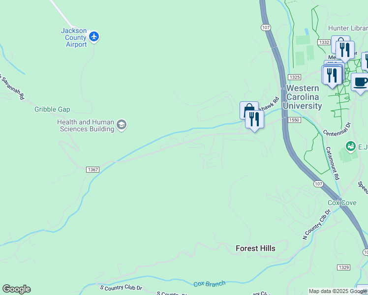 map of restaurants, bars, coffee shops, grocery stores, and more near 1325 Off Sr in Sylva
