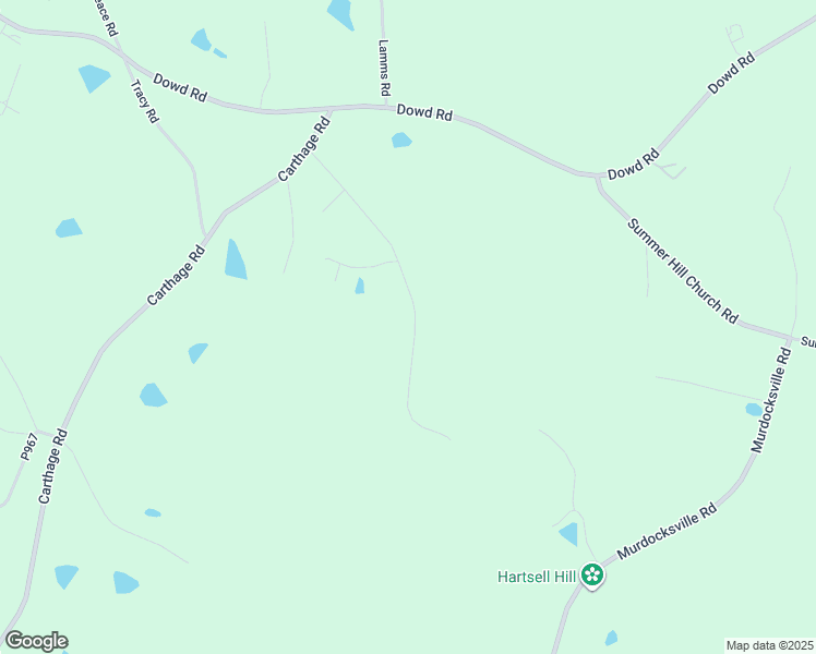 map of restaurants, bars, coffee shops, grocery stores, and more near 344 Williamson Road in Carthage
