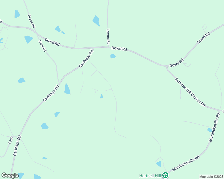 map of restaurants, bars, coffee shops, grocery stores, and more near 344 Williamson Road in Carthage