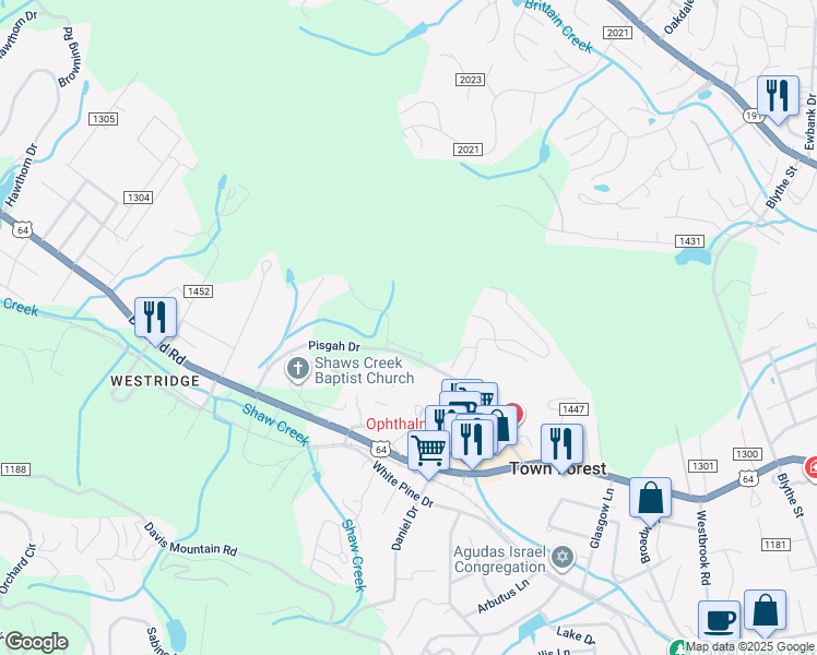 map of restaurants, bars, coffee shops, grocery stores, and more near 1870 County Road 1308 in Hendersonville