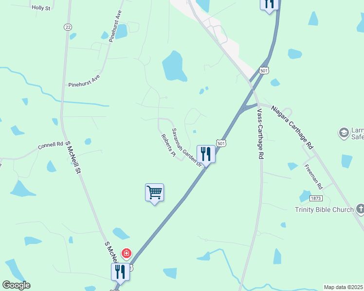 map of restaurants, bars, coffee shops, grocery stores, and more near 204 Savannah Garden Drive in Carthage