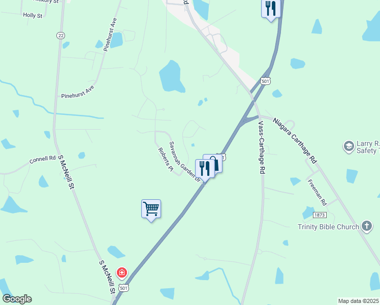 map of restaurants, bars, coffee shops, grocery stores, and more near 204 Savannah Garden Drive in Carthage