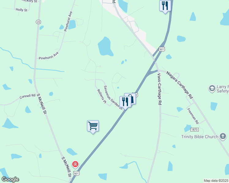 map of restaurants, bars, coffee shops, grocery stores, and more near 204 Savannah Garden Drive in Carthage