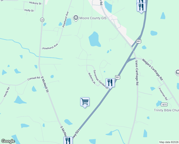 map of restaurants, bars, coffee shops, grocery stores, and more near 248 Roberts Place in Carthage