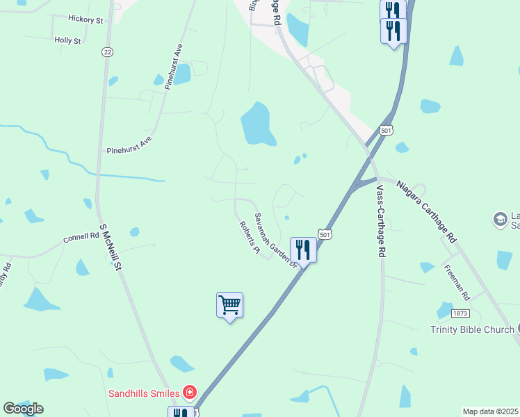 map of restaurants, bars, coffee shops, grocery stores, and more near 232 Savannah Garden Drive in Carthage