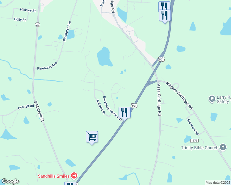 map of restaurants, bars, coffee shops, grocery stores, and more near 228 Savannah Garden Drive in Carthage