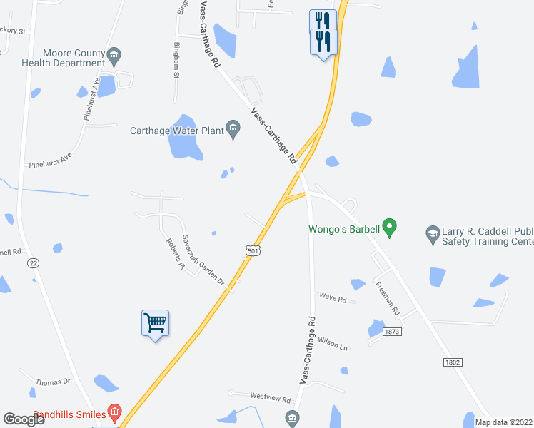 map of restaurants, bars, coffee shops, grocery stores, and more near 4780 Niagara Carthage Road in Southern Pines