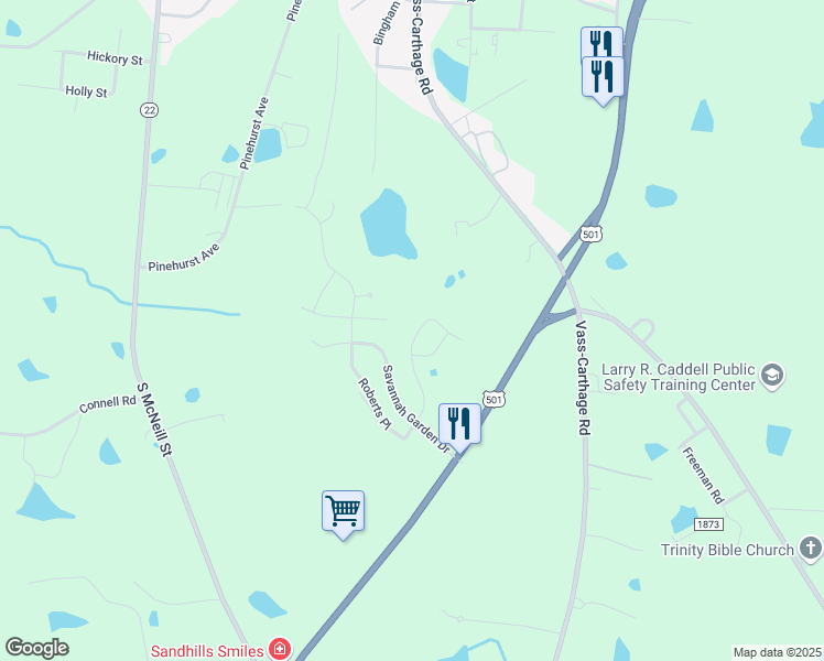 map of restaurants, bars, coffee shops, grocery stores, and more near 4396 U.S. 501 in Carthage