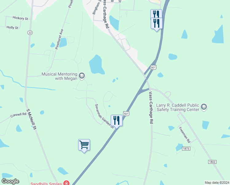 map of restaurants, bars, coffee shops, grocery stores, and more near 2903 Gracie Lane in Carthage
