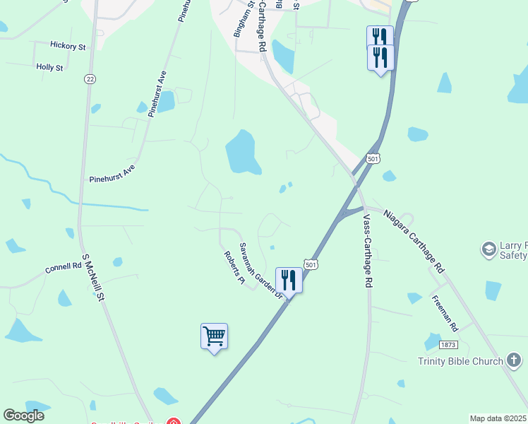 map of restaurants, bars, coffee shops, grocery stores, and more near 4396 U.S. 501 in Carthage