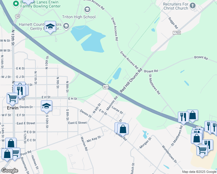 map of restaurants, bars, coffee shops, grocery stores, and more near Highway 55 in Erwin