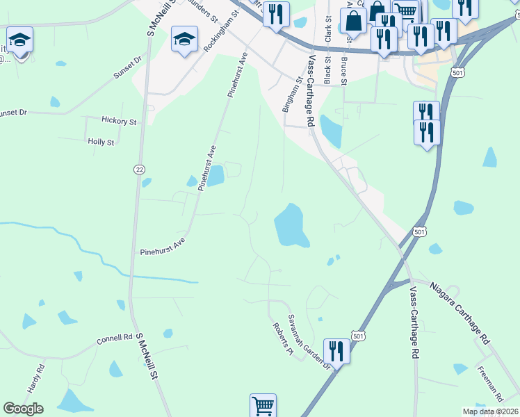 map of restaurants, bars, coffee shops, grocery stores, and more near 424 Bingham Street in Carthage