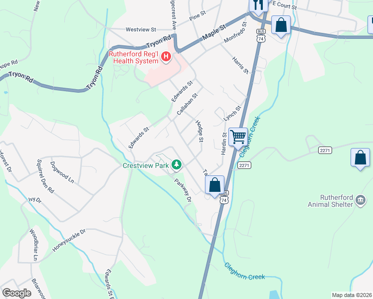 map of restaurants, bars, coffee shops, grocery stores, and more near 255 Tanner Street in Rutherfordton
