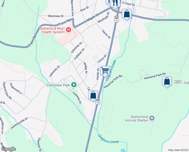 map of restaurants, bars, coffee shops, grocery stores, and more near 156 Hardin Street in Rutherfordton