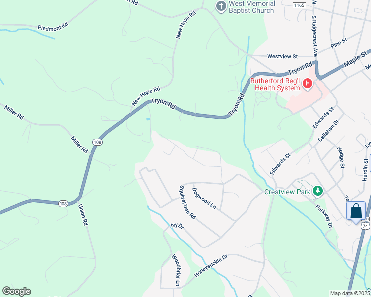 map of restaurants, bars, coffee shops, grocery stores, and more near 214 Anne Street in Rutherfordton