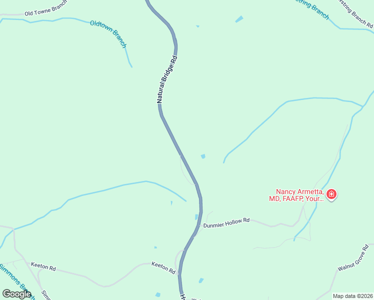 map of restaurants, bars, coffee shops, grocery stores, and more near 1594 Natural Bridge Road in Waynesboro