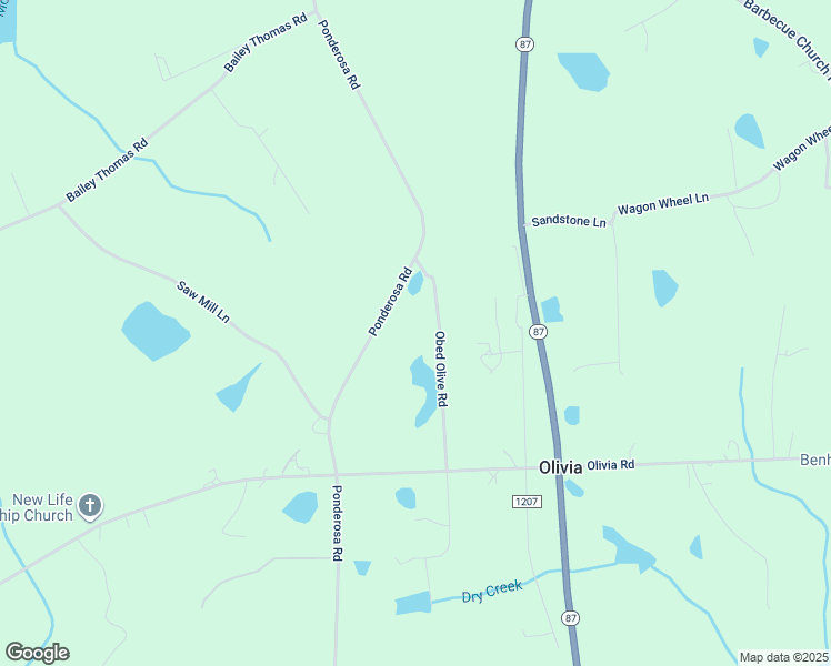 map of restaurants, bars, coffee shops, grocery stores, and more near 209 Obed Olive Road in Sanford