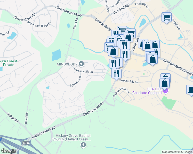 map of restaurants, bars, coffee shops, grocery stores, and more near 8814 Hollow Creek Circle in Charlotte