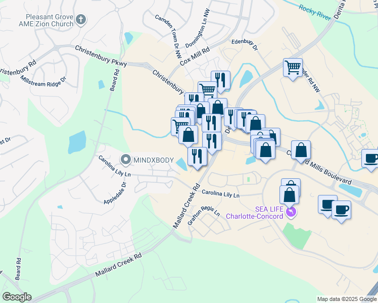 map of restaurants, bars, coffee shops, grocery stores, and more near 8875 Christenbury Parkway in Concord
