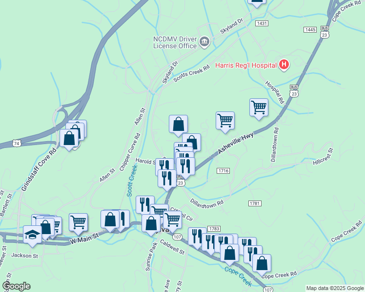map of restaurants, bars, coffee shops, grocery stores, and more near 143 Finch Street in Sylva