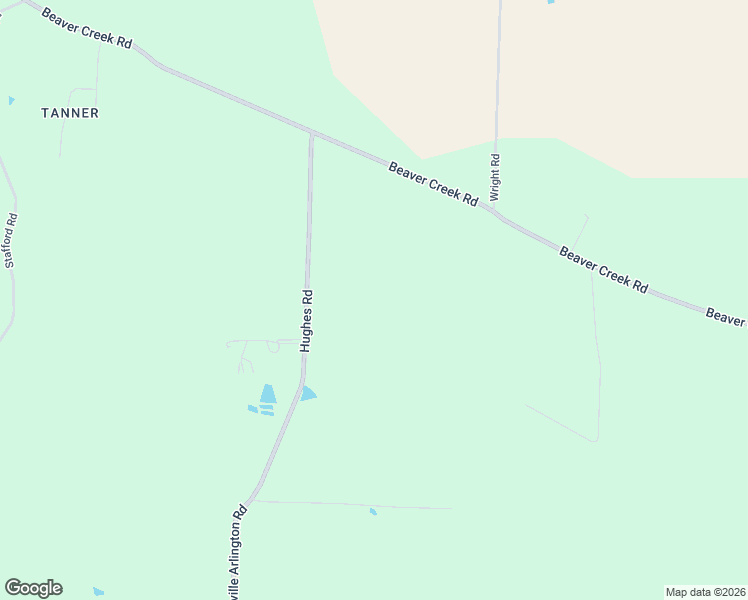 map of restaurants, bars, coffee shops, grocery stores, and more near 390 Hughes Road in Brighton