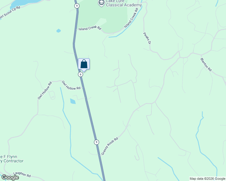 map of restaurants, bars, coffee shops, grocery stores, and more near 305 Stonecrest Parkway in Mill Spring
