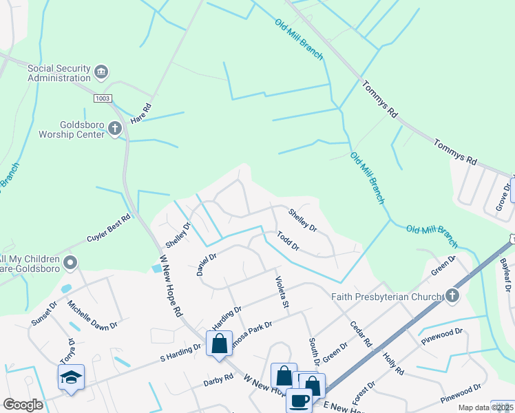 map of restaurants, bars, coffee shops, grocery stores, and more near 907 Shelley Drive in Goldsboro