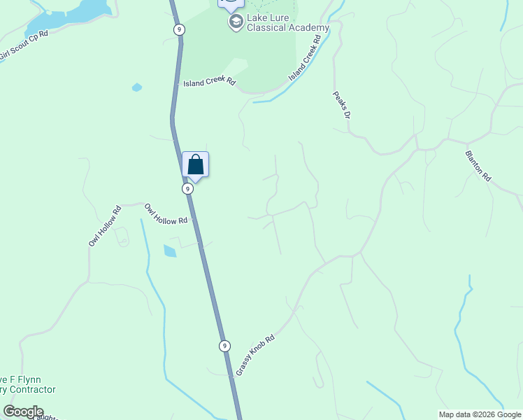 map of restaurants, bars, coffee shops, grocery stores, and more near 305 Stonecrest Parkway in Mill Spring
