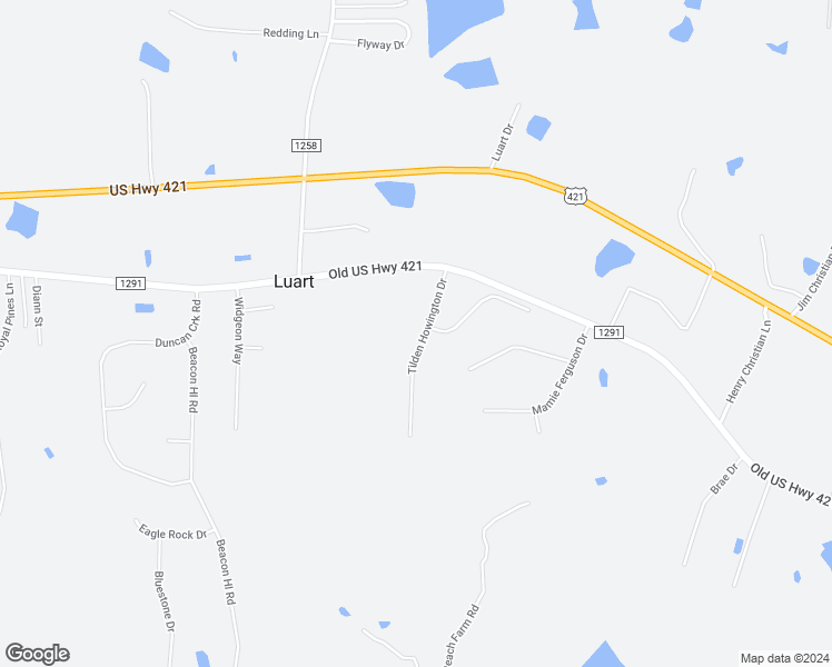 map of restaurants, bars, coffee shops, grocery stores, and more near 156 Tilden Howington Drive in Lillington