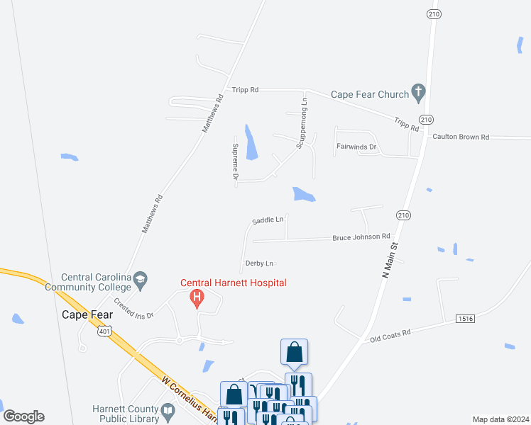 map of restaurants, bars, coffee shops, grocery stores, and more near 156 Saddle Lane in Lillington