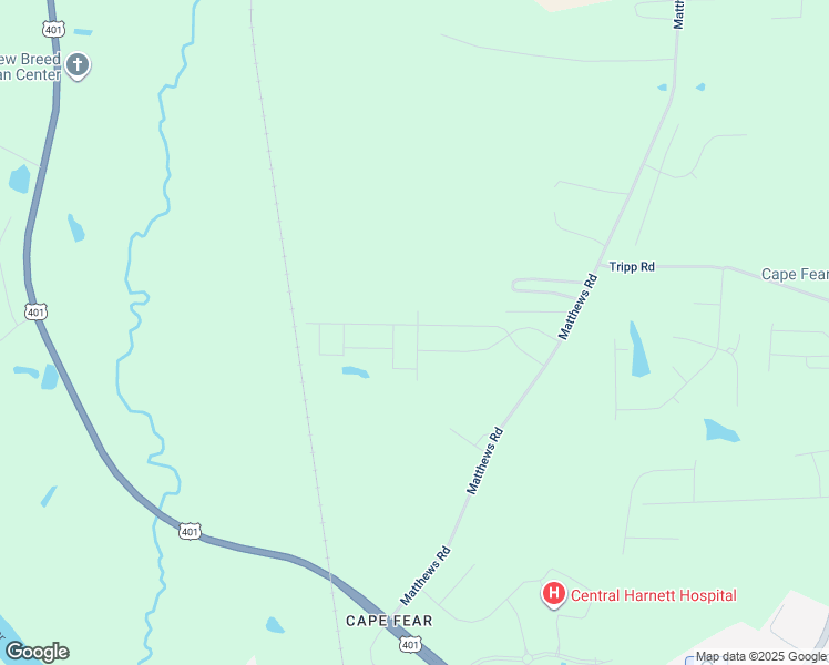 map of restaurants, bars, coffee shops, grocery stores, and more near 54 Florida Street in Lillington