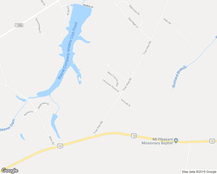 map of restaurants, bars, coffee shops, grocery stores, and more near 207 Lancaster Pointe Drive in Pikeville