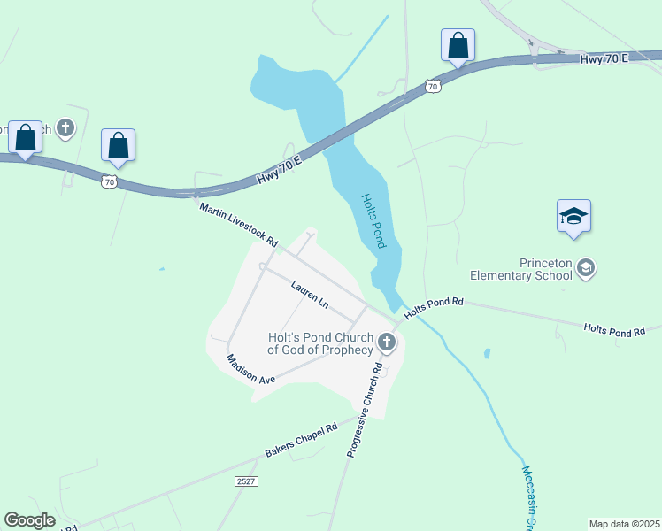 map of restaurants, bars, coffee shops, grocery stores, and more near 355 Martin Livestock Road in Princeton