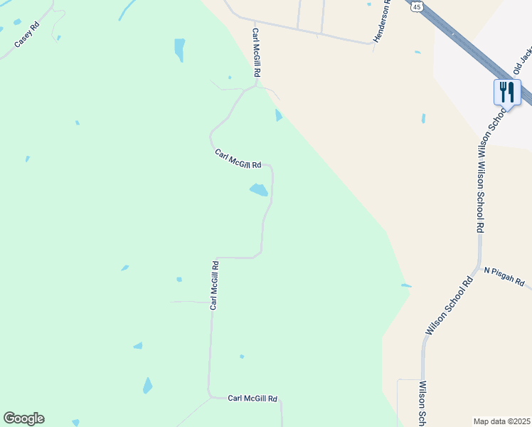 map of restaurants, bars, coffee shops, grocery stores, and more near 1483 Carl McGill Road in Pinson