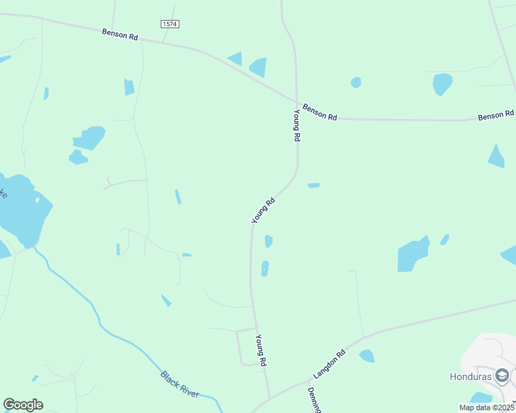 map of restaurants, bars, coffee shops, grocery stores, and more near 665 Young Road in Angier