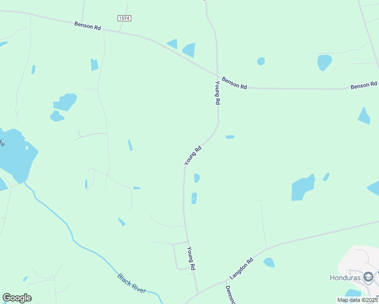 map of restaurants, bars, coffee shops, grocery stores, and more near 665 Young Road in Angier