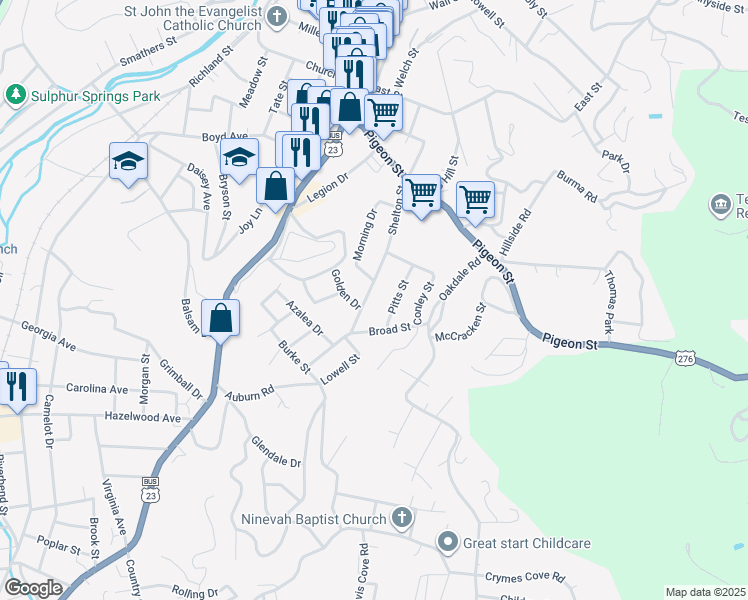 map of restaurants, bars, coffee shops, grocery stores, and more near 307 Shelton Street in Waynesville