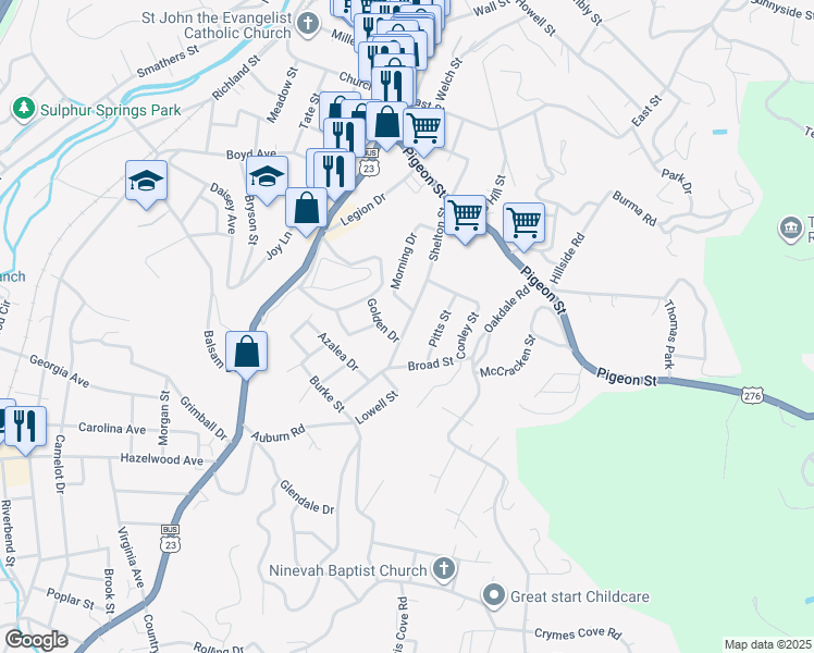 map of restaurants, bars, coffee shops, grocery stores, and more near 307 Shelton Street in Waynesville