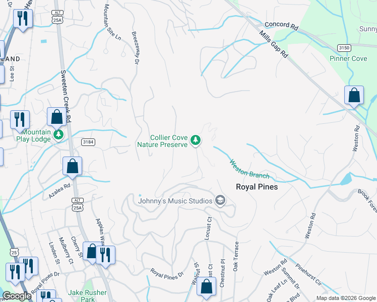 map of restaurants, bars, coffee shops, grocery stores, and more near 175 Rhododendron Drive in Arden