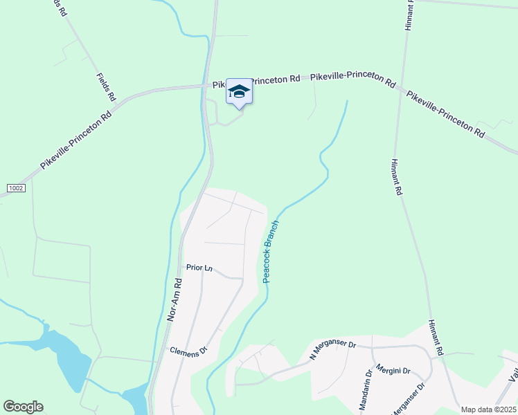 map of restaurants, bars, coffee shops, grocery stores, and more near 207 Ruth Drive in Pikeville