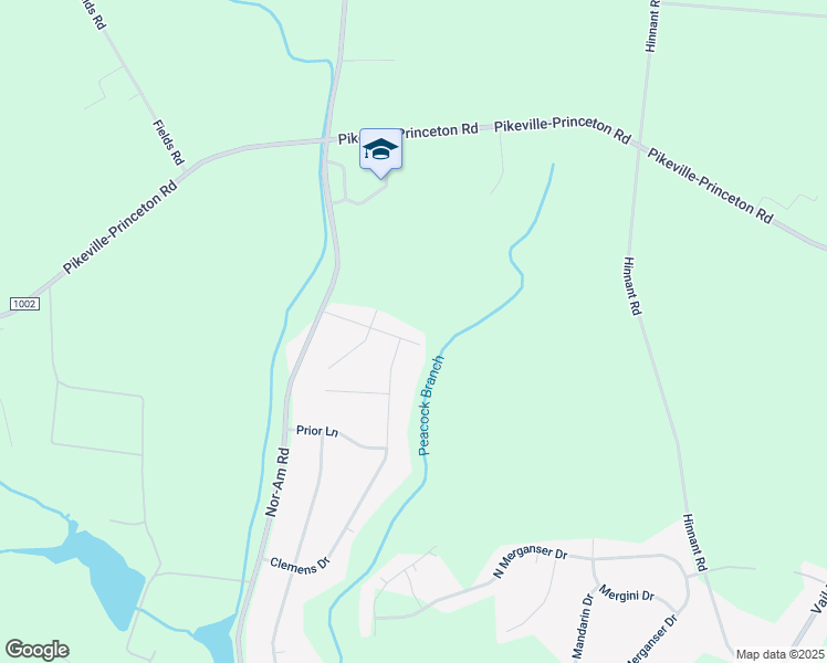 map of restaurants, bars, coffee shops, grocery stores, and more near 207 Ruth Drive in Pikeville