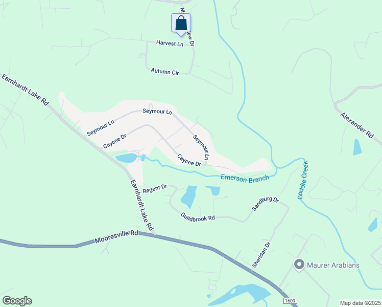 map of restaurants, bars, coffee shops, grocery stores, and more near 9416 Caycee Drive in Davidson