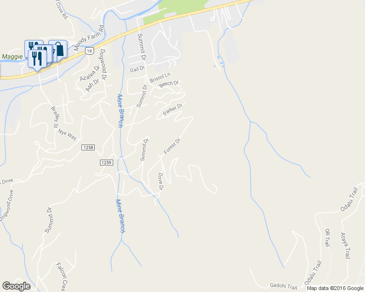 map of restaurants, bars, coffee shops, grocery stores, and more near 1133 Forest Drive in Maggie Valley