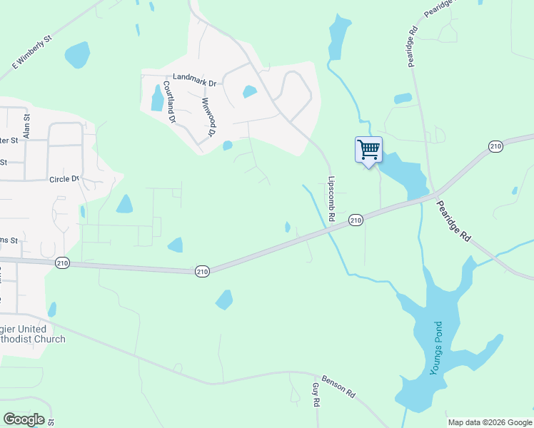 map of restaurants, bars, coffee shops, grocery stores, and more near NC 210 North in Angier